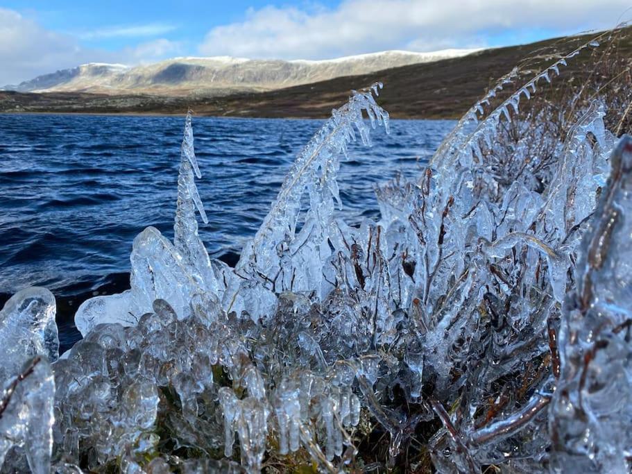 Delikat Hytte Omgitt Av Hallingdals Vakre Fjell Ål Esterno foto