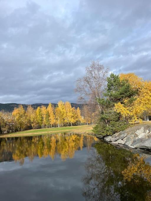 Delikat Hytte Omgitt Av Hallingdals Vakre Fjell Ål Esterno foto