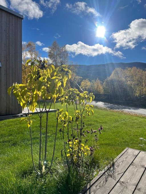 Delikat Hytte Omgitt Av Hallingdals Vakre Fjell Ål Esterno foto